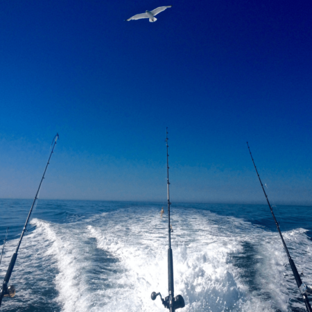 Fishing rods trolling