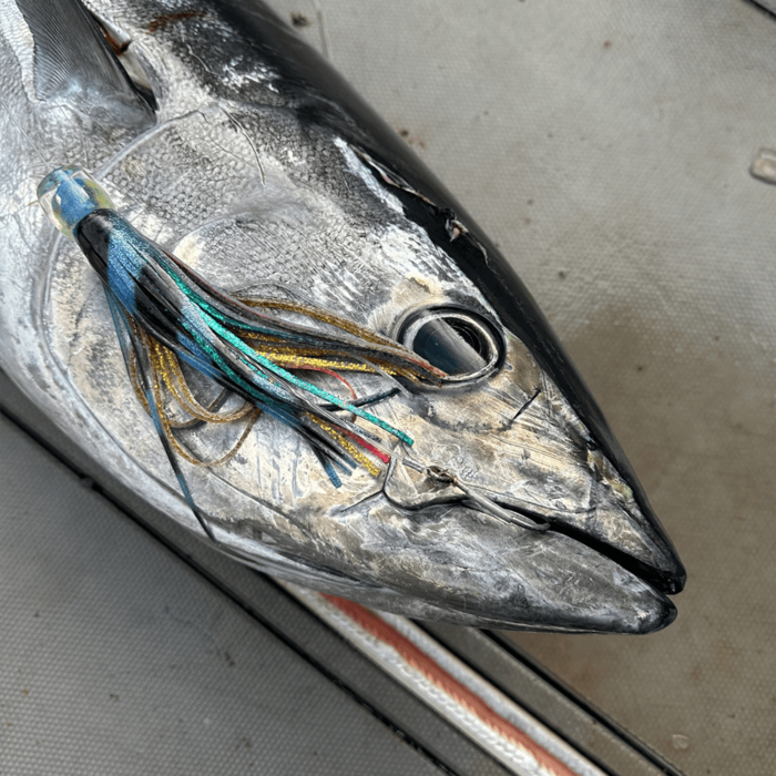 tuna lures, tuna lures Suppliers and Manufacturers at