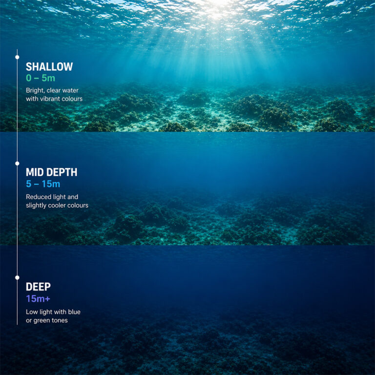 Best GoPro Underwater Settings for Clear Underwater Footage