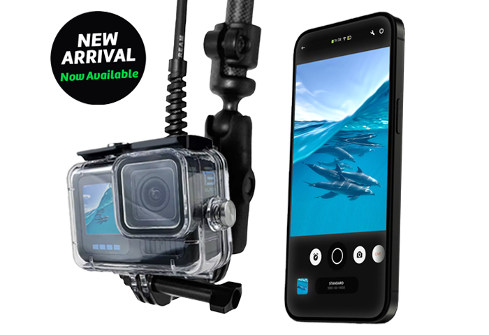 Seavu Seeker Pole Kit with action camera on carbon fibre pole and phone showing live underwater footage of dolphins