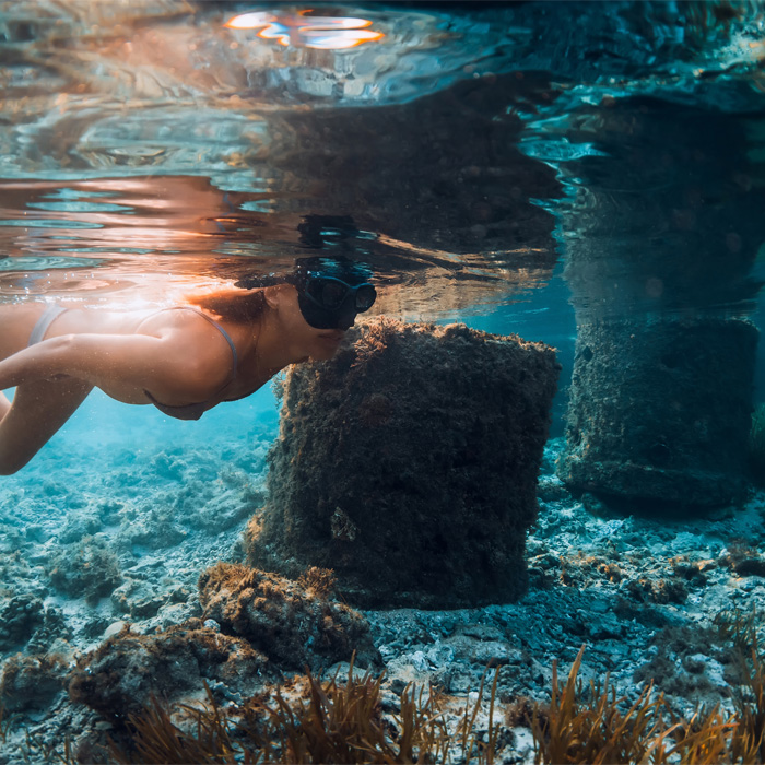 Swimmer snorkelling just under the surface beside marine growth covered jetty pylons in clear shallow water