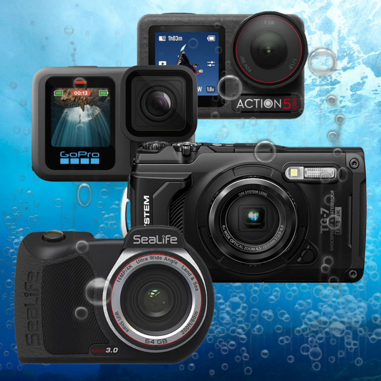 different types of underwater cameras including action camera dive camera and live system underwater