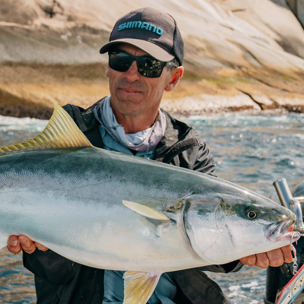 Watch Kingfish behaviour unfold in real time in their natural environment.