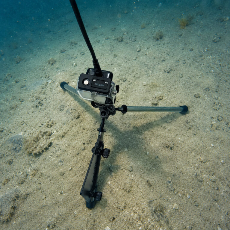 Seavu Seeker Seafloor Stand tripod set up on the sandy seabed with an action camera mounted, cable running to the surface
