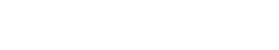 Puluz